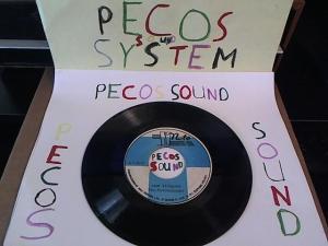 Hud-2 vinyl photos 1017