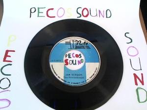 Hud-2 vinyl photos 1018