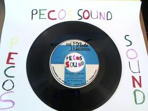 Hud-2 vinyl photos 1025