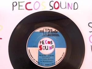 Hud-2 vinyl photos 1026