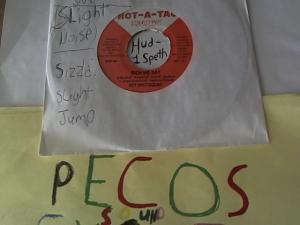 Hud-2 vinyl photos 1060