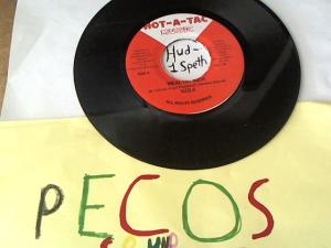 Hud-2 vinyl photos 1063