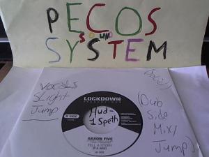 Hud-2 vinyl photos 1082