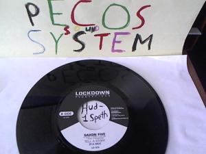 Hud-2 vinyl photos 1085