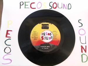 Hud-2 vinyl photos 1186