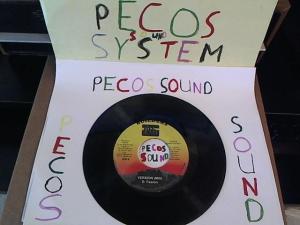 Hud-2 vinyl photos 1188