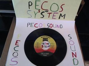 Hud-2 vinyl photos 1194