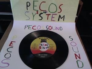 Hud-2 vinyl photos 1199