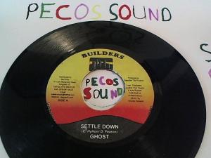 Hud-2 vinyl photos 1201