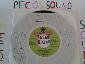 Hud-2 vinyl photos 1204