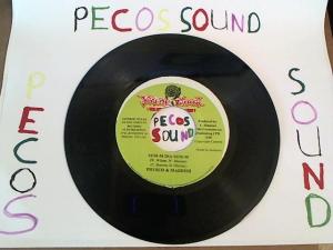 Hud-2 vinyl photos 1209