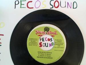 Hud-2 vinyl photos 1210