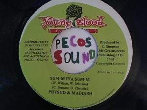 Hud-2 vinyl photos 1213