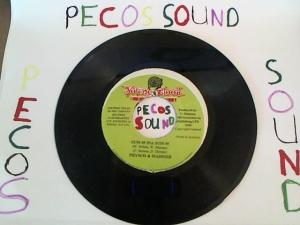 Hud-2 vinyl photos 1215