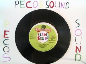 Hud-2 vinyl photos 1217