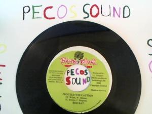 Hud-2 vinyl photos 1219