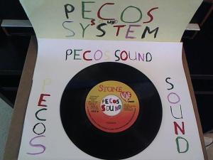 Hud-2 vinyl photos 1260