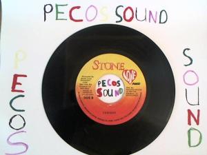 Hud-2 vinyl photos 1261