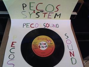 Hud-2 vinyl photos 1266