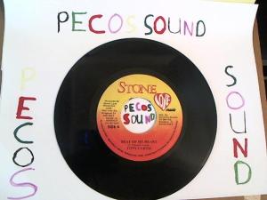 Hud-2 vinyl photos 1267