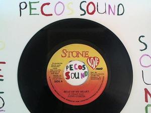 Hud-2 vinyl photos 1268