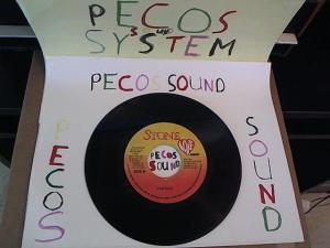 Hud-2 vinyl photos 1271