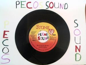 Hud-2 vinyl photos 1276