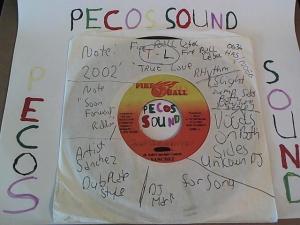 Hud-2 vinyl photos 1298