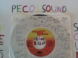 Hud-2 vinyl photos 1301