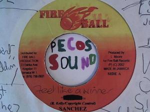 Hud-2 vinyl photos 1303