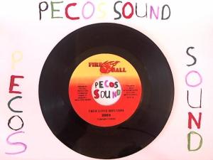 Hud-2 vinyl photos 1304