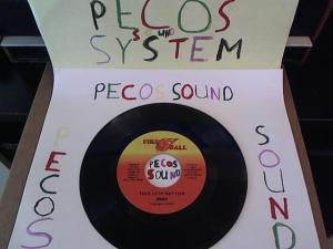 Hud-2 vinyl photos 1305