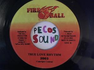 Hud-2 vinyl photos 1306