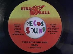 Hud-2 vinyl photos 1307