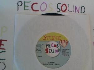 Hud-2 vinyl photos 1308