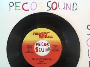 Hud-2 vinyl photos 1309