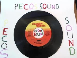 Hud-2 vinyl photos 1311