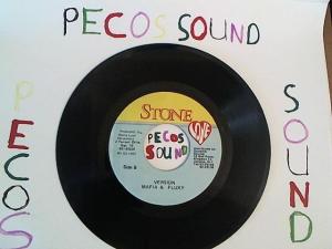 Hud-2 vinyl photos 1311