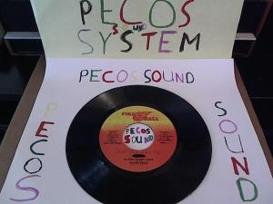 Hud-2 vinyl photos 1312