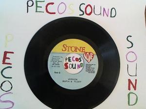 Hud-2 vinyl photos 1312