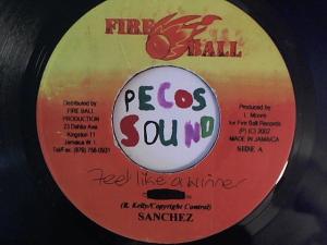 Hud-2 vinyl photos 1313