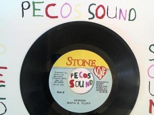 Hud-2 vinyl photos 1313