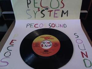 Hud-2 vinyl photos 1314