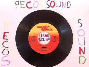 Hud-2 vinyl photos 1315