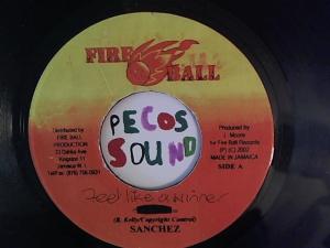 Hud-2 vinyl photos 1316