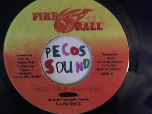 Hud-2 vinyl photos 1317