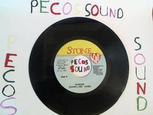 Hud-2 vinyl photos 1318