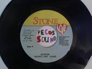 Hud-2 vinyl photos 1322