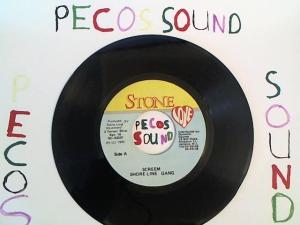 Hud-2 vinyl photos 1323