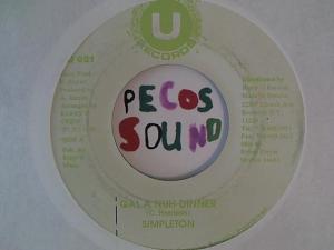 Hud-2 vinyl photos 1324